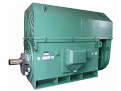 JR500L1-4YKK系列高压电机