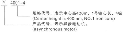 西安泰富西玛Y系列(H355-1000)高压JR500L1-4三相异步电机型号说明